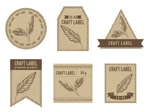 Etichette artigianali design vintage con illustrazione di calathea — Vettoriale Stock
