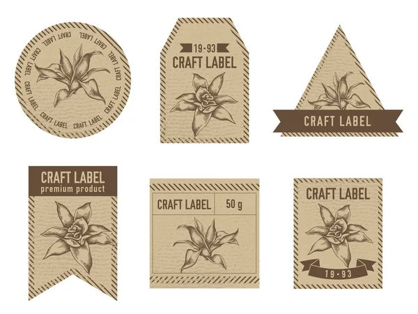 Sanatsal etiketler, guzmania resimli vintage tasarımı