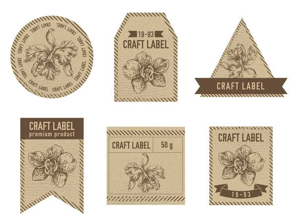 Etiquetas de artesanato design vintage com ilustração de orquídea — Vetor de Stock