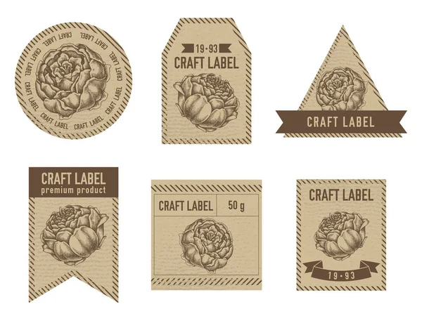 Etichette artigianali design vintage con illustrazione di peonia — Vettoriale Stock