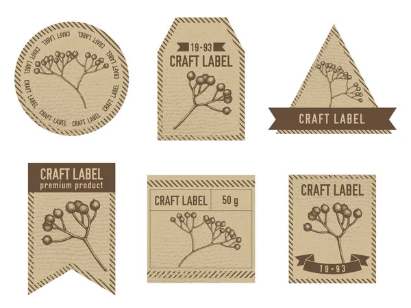 Craft labels vintage design with illustration of viburnum — Stock Vector