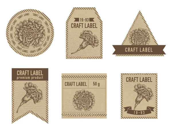 Etiquettes artisanales design vintage avec illustration d'oeillet — Image vectorielle