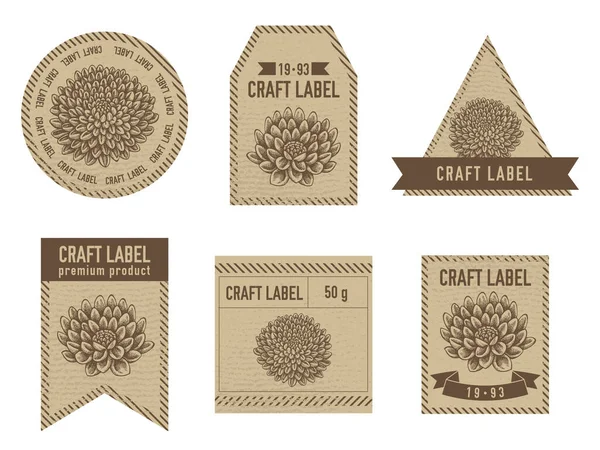 Etiquetas artesanales diseño vintage con ilustración de dalia — Vector de stock