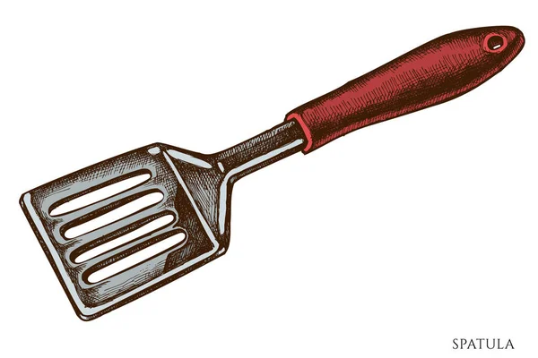 Vector set of hand drawn colored spatula — Stock Vector