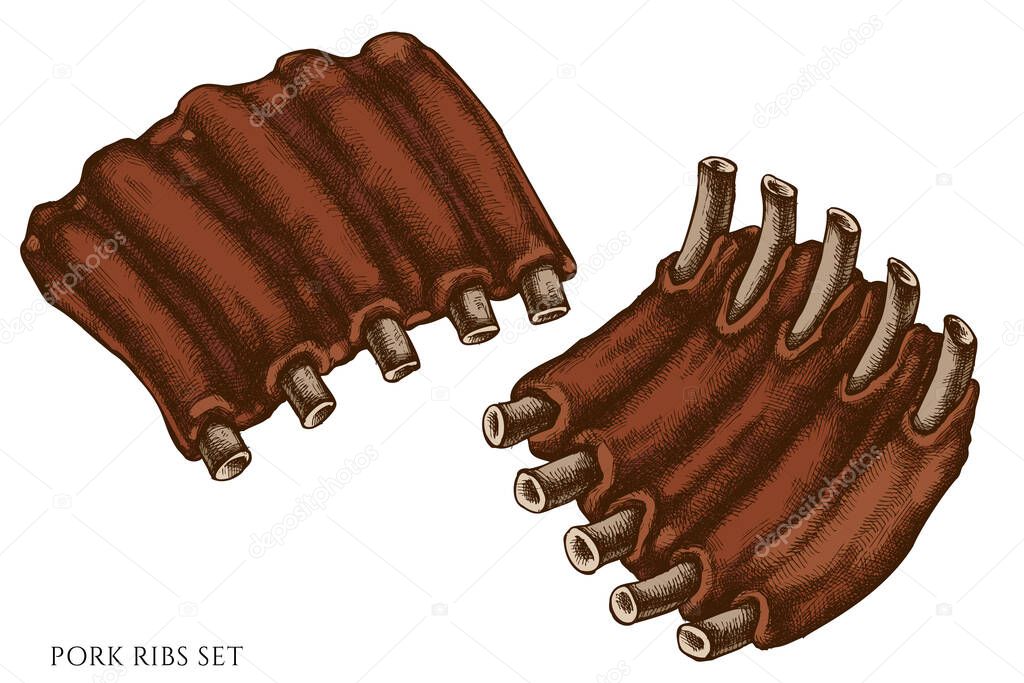 Vector set of hand drawn colored Pork ribs