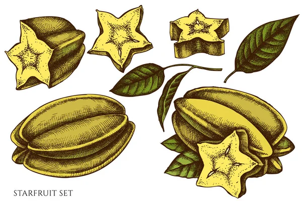 Wektor zestaw ręcznie rysowane kolorowe starfruit — Wektor stockowy