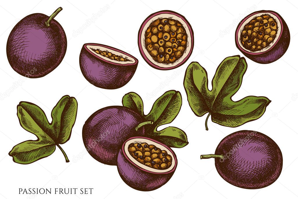 Vector set of hand drawn colored passion fruit