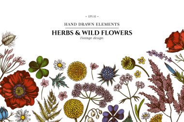 Renkli çoban çantalı çiçek tasarımı, heather, eğreltiotu, yabani sarımsak, yonca, globethistle, gentiana, astilbe, craspedia, lagurus, siyah oyma, papatya, karahindiba, haşhaş çiçeği, zambak çiçeği,