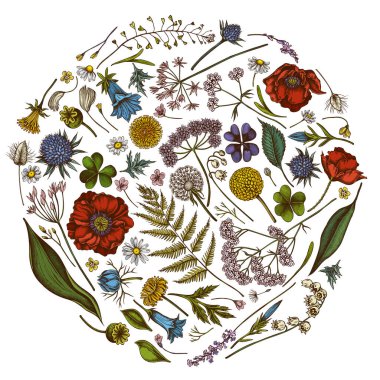 Renkli çoban çantalı yuvarlak çiçek tasarımı, heather, eğreltiotu, yabani sarımsak, yonca, küre dikenli, gentiana, astilbe, craspedia, lagurus, siyah karanfil, papatya, karahindiba, haşhaş çiçeği, zambak çiçeği,