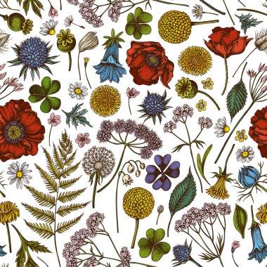 Elle çizilmiş kusursuz desenli çoban çantası, funda, eğreltiotu, yabani sarımsak, yonca, küre dikenli, gentiana, astilbe, craspedia, lagurus, siyah karanfil, papatya, karahindiba, karahindiba, gelincik çiçeği
