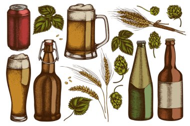 El yapımı çavdar, hop, bir kupa bira, bira şişeleri, alüminyum kutu.