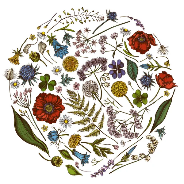 Renkli çoban çantalı yuvarlak çiçek tasarımı, heather, eğreltiotu, yabani sarımsak, yonca, küre dikenli, gentiana, astilbe, craspedia, lagurus, siyah karanfil, papatya, karahindiba, haşhaş çiçeği, zambak çiçeği,