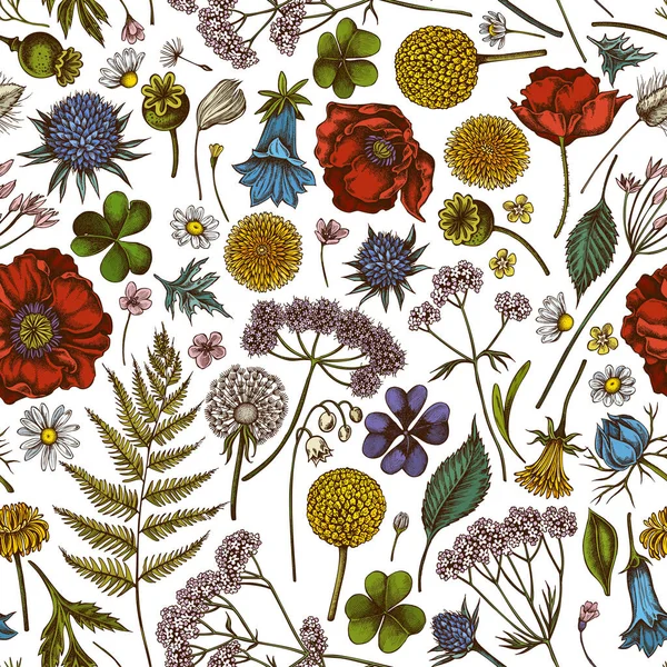 Elle çizilmiş kusursuz desenli çoban çantası, funda, eğreltiotu, yabani sarımsak, yonca, küre dikenli, gentiana, astilbe, craspedia, lagurus, siyah karanfil, papatya, karahindiba, karahindiba, gelincik çiçeği