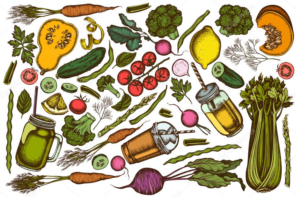 Vector set of hand drawn colored lemons, broccoli, radish, green beans, cherry tomatoes, beet, greenery, carrot, basil, pumpkin, smoothie cup, smothie jars, cucumber, celery