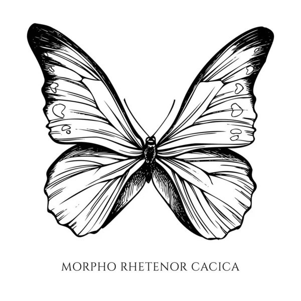 Conjunto vectorial de morfo azul blanco y negro dibujado a mano — Vector de stock