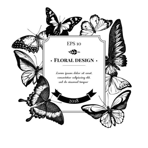 Design distintivo con lacci in bianco e nero rosso, wallaces golden birdwing, coda forcuta maculata viola, grande punta arancione, coda forcuta smeraldo, tigre pianura, rajah brookes birdwing, coda forcuta — Vettoriale Stock