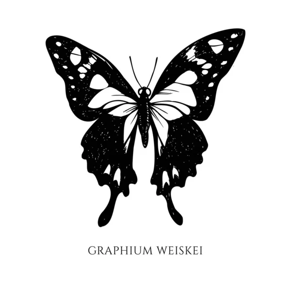 Set vettoriale di coda forcuta maculata viola bianca e nera disegnata a mano — Vettoriale Stock