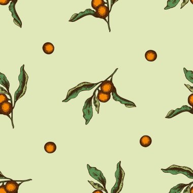 Elle çizilmiş solanyum ile kusursuz desen