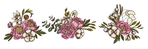 Flower bouquet of colored ficus, eucalyptus, peony, cotton, freesia, brunia — Stock Vector