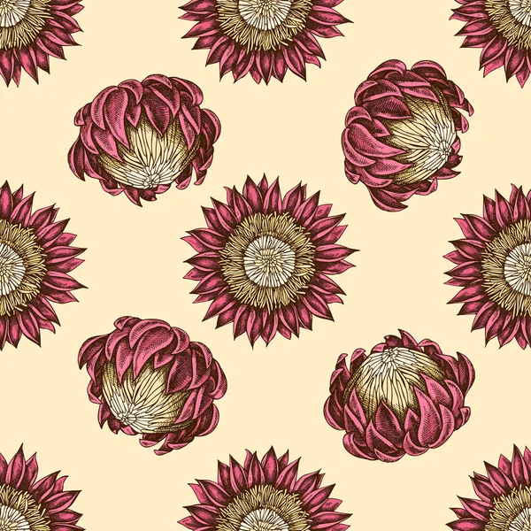 Seamless pattern with hand drawn colored protea — Stock Vector