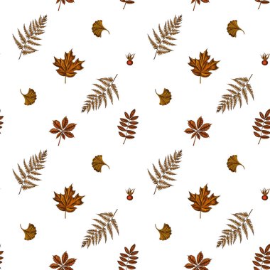 Kusursuz desenli, el çizimi eğreltiotu, köpek gülü, rowan, ginkgo, akçaağaç, at kestanesi