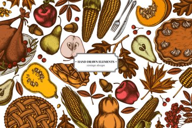 Renkli elementler dizaynı balkabağı, çatal, bıçak, armut, hindi, balkabağı turtası, elmalı turta, mısır, elma, akçaağaç, meşe