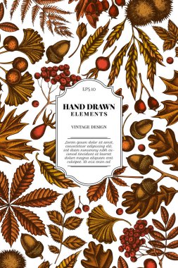 Renkli eğreltiotu, köpek gülü, rowan, ginkgo, akçaağaç, meşe, at kestanesi, kestane, dikenli