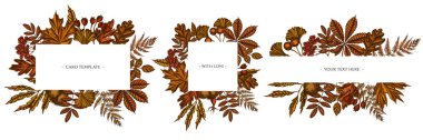 Renkli eğreltiotu, köpek gülü, rowan, ginkgo, akçaağaç, meşe, at kestanesi, kestane ağacı, diken