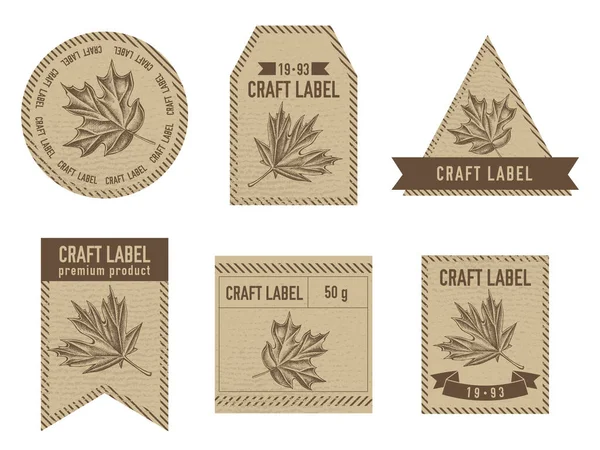 Kézműves címkék vintage design illusztrációjával juhar — Stock Vector
