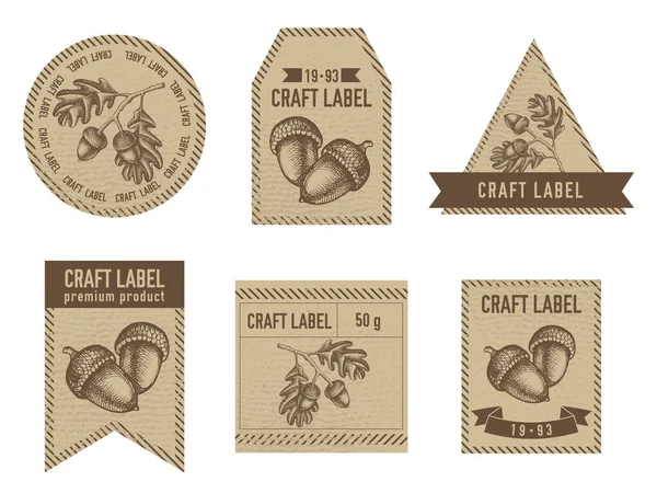 Etiquettes artisanales design vintage avec illustration de chêne — Image vectorielle
