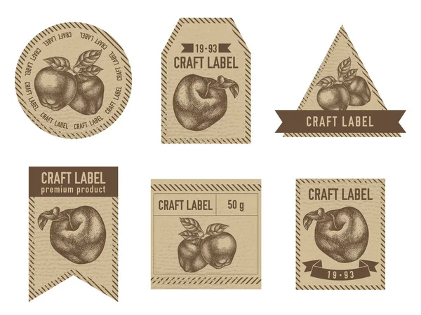 Etiquettes artisanales design vintage avec illustration de pommes — Image vectorielle