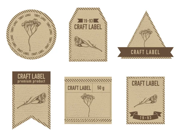 Etiquettes artisanales design vintage avec illustration de la tanaisie — Image vectorielle