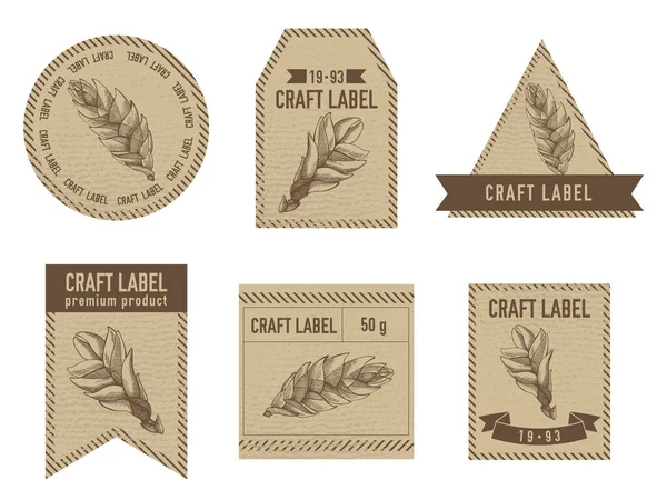 Craft labels vintage design with illustration of bromeliad — Stock Vector