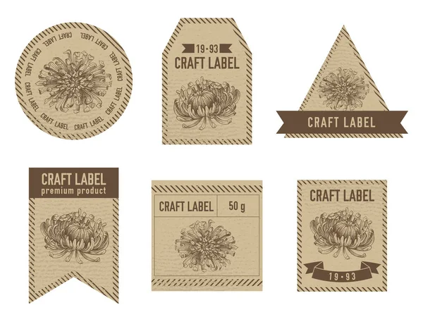 Etiquettes artisanales design vintage avec illustration d'aster — Image vectorielle