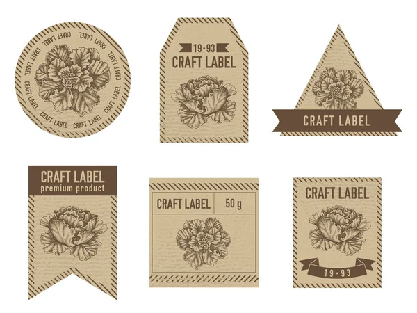 Étiquettes artisanales design vintage avec illustration de chou décoratif — Image vectorielle