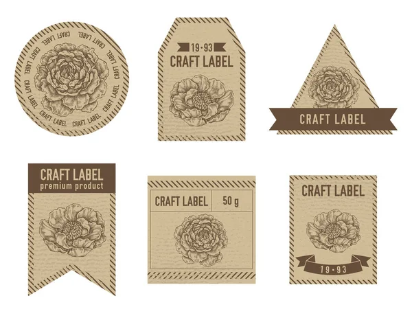 Etiquettes artisanales design vintage avec illustration de pivoine — Image vectorielle