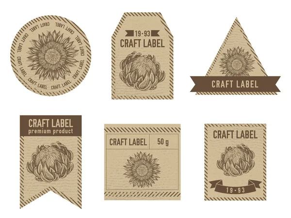 Kézműves címkék vintage design illusztrációjával protea — Stock Vector