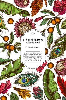 Renkli muz palmiyesi yaprakları, ambar, solanum, bromeliad, tavus kuşu tüyleri, protea