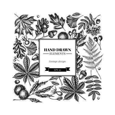 Siyah ve beyaz eğreltiotu, köpek gülü, rowan, ginkgo, akçaağaç, meşe, at kestanesi, kestane ağacı, Hawthorn