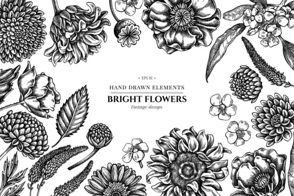Design floral com flor de papoula preto e branco, gerbera, girassol, milkweed, dahlia, veronica —  Vetores de Stock