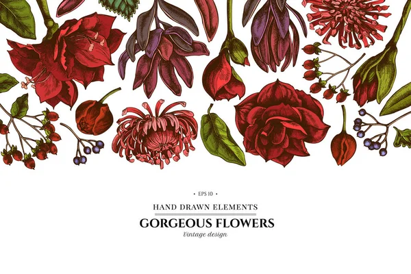 Desenho floral com viburno colorido, hipericum, tulipa, aster, leucadendron, amarílis — Vetor de Stock