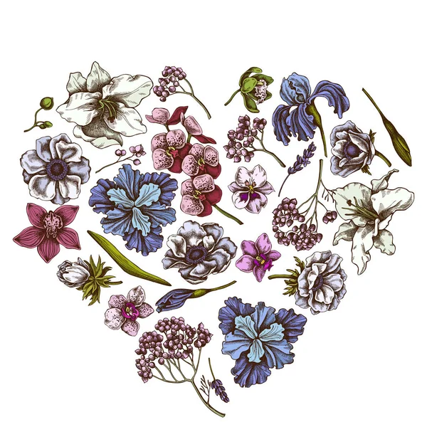 Квітковий дизайн серця з кольоровим анемоном, лавандою, вічним розмарином, фаленопсисом, лілією, ірисом — стоковий вектор