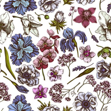 Seamless pattern with hand drawn colored anemone, lavender, rosemary everlasting, phalaenopsis, lily, iris clipart