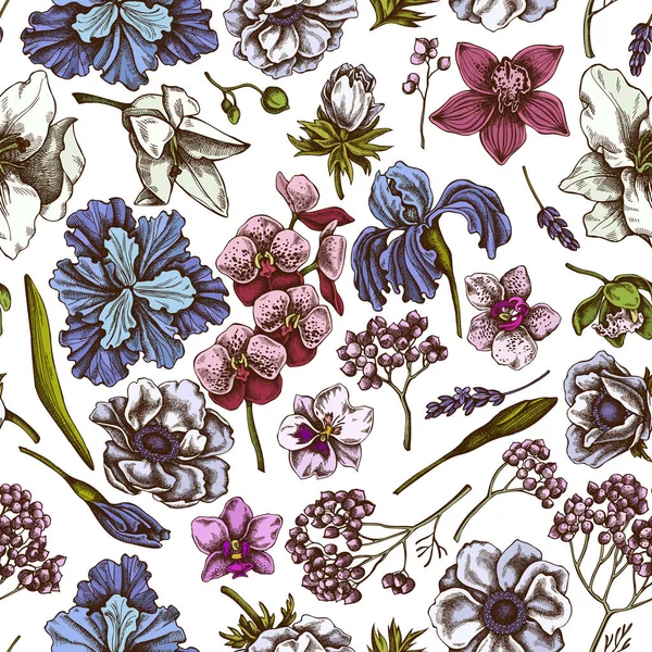 Modèle sans couture avec anémone colorée dessinée à la main, lavande, romarin éternel, phalaenopsis, lis, iris — Image vectorielle