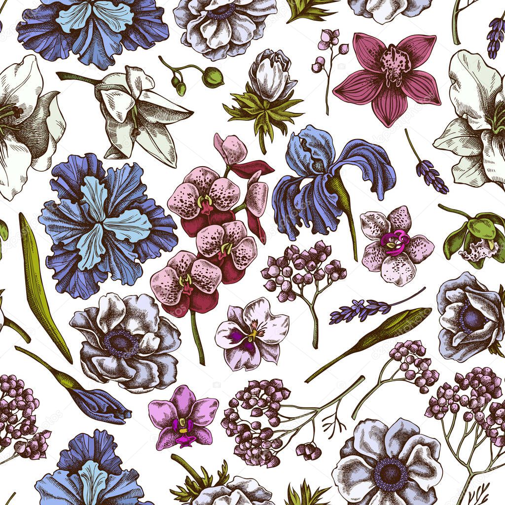 Seamless pattern with hand drawn colored anemone, lavender, rosemary everlasting, phalaenopsis, lily, iris