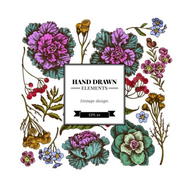 Renkli balmumu çiçekli kare desen, unutma beni çiçek, tansi, ardisia, brassica, dekoratif lahana