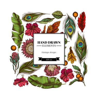 Renkli muz palmiyesi yapraklı kare çiçek tasarımı, amber çiçeği, solanum, bromeliad, tavus kuşu tüyü, protea