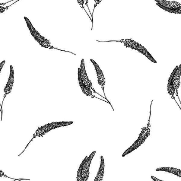 Pola mulus dengan veronica hitam dan putih - Stok Vektor