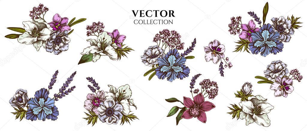 Flower bouquet of colored anemone, lavender, rosemary everlasting, phalaenopsis, lily, iris stock illustration