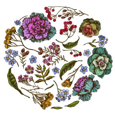 Renkli balmumu çiçekli yuvarlak çiçek tasarımı, beni unutmayın çiçek, tansi, ardisia, brassica, dekoratif lahana